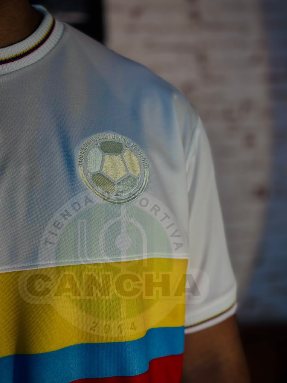 CAMISETA SELECCION COLOMBIA EDICION 100 AÑOS 2024/2025