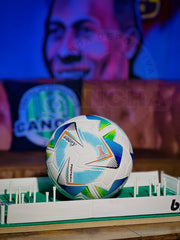 BALONES DE FUTBOL