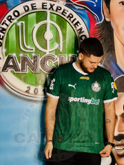 CAMISETA PALMEIRAS LOCAL 2025